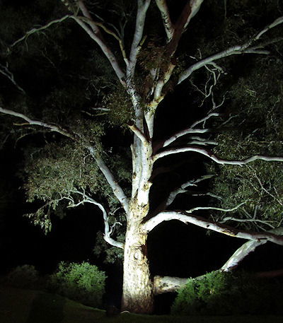Tally Ho Lodge - South Australia Travel 3