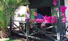 Desert Palms Resort - South Australia Travel 3