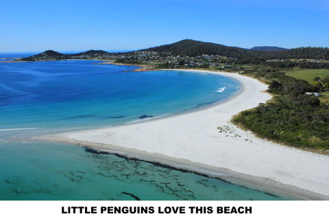 Diamond Island Resort - South Australia Travel 5