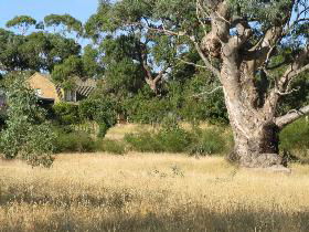Springton SA South Australia Travel