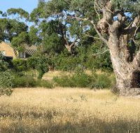 Wings Barossa Bird and Bush Retreat - South Australia Travel