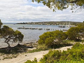 Seagulls Wrest Point - South Australia Travel 0
