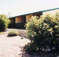 The Fig Tree Bed  Breakfast - South Australia Travel