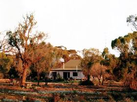 Cadell Lagoon SA South Australia Travel