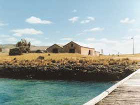 Mt Dutton Bay Woolshed Hostel - South Australia Travel 0