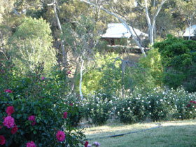 Watervale SA South Australia Travel