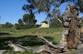 Saunders Gorge Sanctuary - Boundary Cottage - South Australia Travel 1