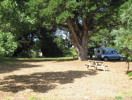 Millicent Hillview Caravan Park - South Australia Travel 1