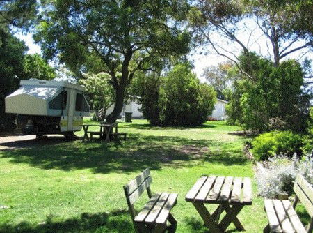 Millicent Hillview Caravan Park - South Australia Travel 3