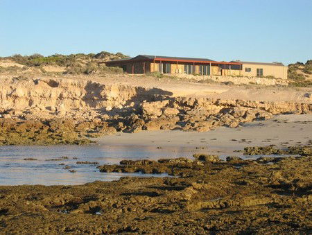 Tiliqua Sunrise - South Australia Travel 3