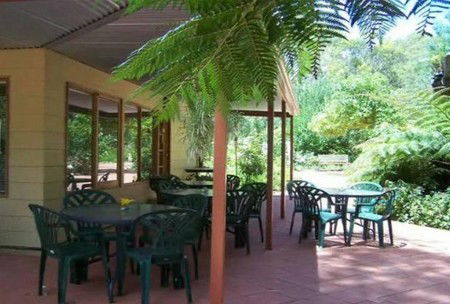 Rainforest Retreat - South Australia Travel 1