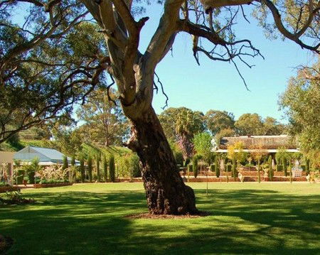 Jacobs Creek Retreat At Moorooroo Park - South Australia Travel 3