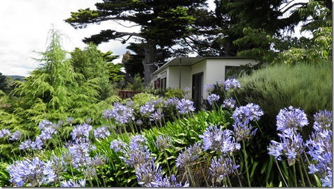 Tamar River Retreat - South Australia Travel 5