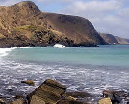 Periwinkles At Second Valley - South Australia Travel 1
