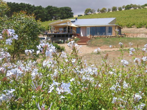 The Blue Grape Vineyard Accommodation - South Australia Travel 0