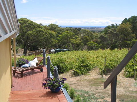 The Blue Grape Vineyard Accommodation - South Australia Travel 1