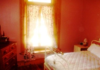 Old Willows Country Estate - South Australia Travel 3