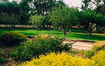 Naracoorte Cottages - Pinkerton Hill - South Australia Travel 2