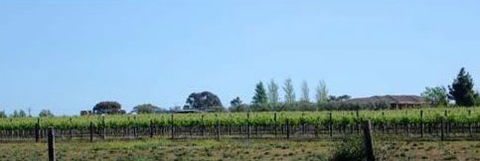 The Linear Way Bed And Breakfast - South Australia Travel 4