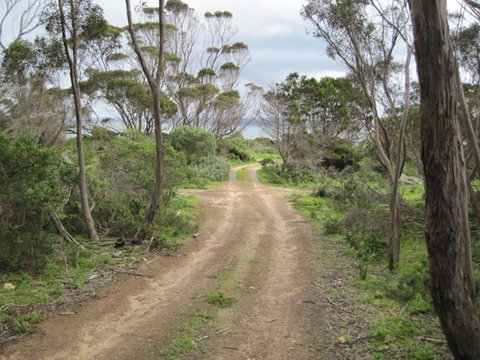 Wallaby Beach House - South Australia Travel 3
