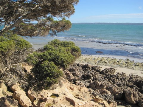Wallaby Beach House - South Australia Travel 4
