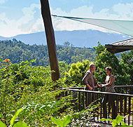 Rose Gums Wilderness Retreat - South Australia Travel