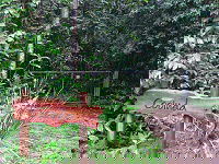 Rivers Edge Rainforest Retreat - South Australia Travel 4
