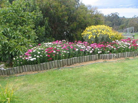 The Eagles View - South Australia Travel 2