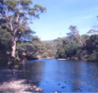 Douglas River Cabin - South Australia Travel