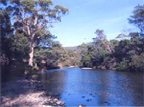 Douglas River Cabin - South Australia Travel 0