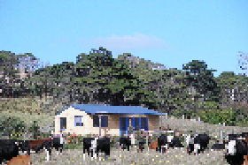 Marrawah TAS South Australia Travel