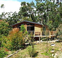 Southern Forest Accommodation - South Australia Travel