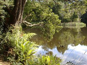Weldborough Camping Ground - South Australia Travel 0