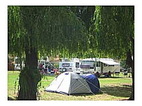 New Norfolk Caravan Park - South Australia Travel 0