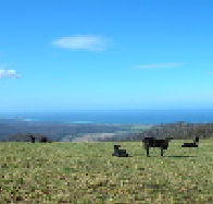 St Marys Seaview Farm - South Australia Travel
