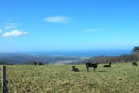 St Marys Seaview Farm - South Australia Travel 0