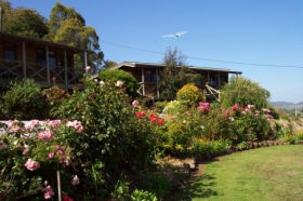 Mole Creek Holiday Village - South Australia Travel 0