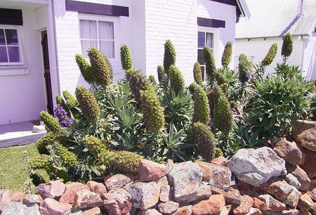 Lester Cottages Complex - South Australia Travel 2