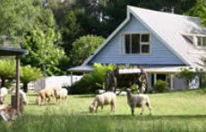 Hide-Away Cottage Retreat - South Australia Travel 2