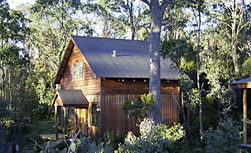 Cradle Mountain Highlanders - South Australia Travel 1