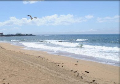 Comfort Hotel Burnie - South Australia Travel 3