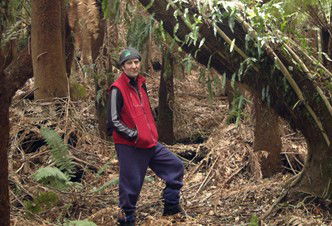 Forest Walks Lodge - Eco-Accommodation - South Australia Travel 3