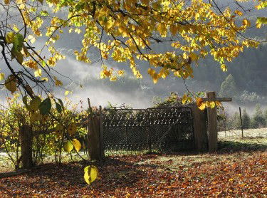 Red Rooster Host Farm - South Australia Travel 2