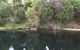 Douglas River Cabin - thumb 4