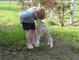Taras Richmond Farmstay - South Australia Travel 3