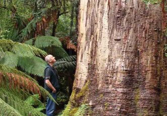 Fingal Hotel - South Australia Travel 5