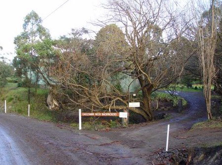 Eaglehawk Neck Backpackers - South Australia Travel 1