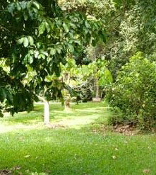 Kingfisher Park Birdwatchers Lodge - South Australia Travel 0