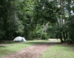Kingfisher Park Birdwatchers Lodge - South Australia Travel 5