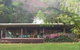 Chambers Wildlife Rainforest Lodges - thumb 3